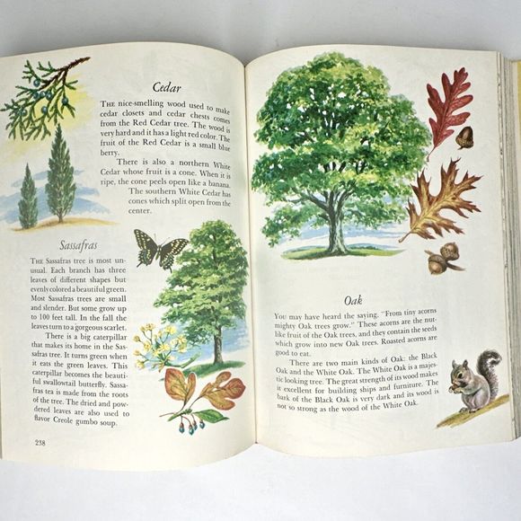 Children’s Guide To‎ Knowledge 1974 Children's Book - Picture 8 of 12